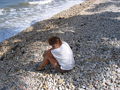 CairnsTC441 Port Douglas